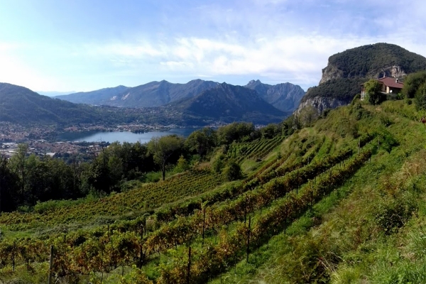 Azienda Agrituristica da Simone